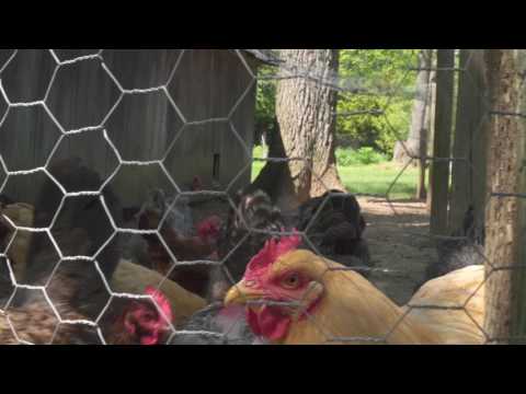 Makers Lehigh Valley - Wayfare Baker Extra: John Glagola