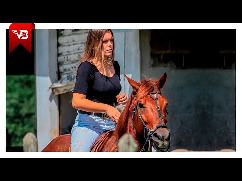 Iguinho e Lulinha - Vaqueira Testada (Clipe Vaquejada) VB Oficial