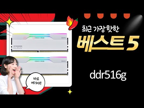 DDR5 16GB vs 32GB 램 성능 비교! 삼성/TeamGroup/ADATA/GeIL/KLEVV