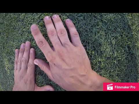 Cavaliers 2019 Tuba Cam