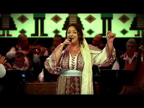 Anușca și Orchestra “ Doina Argeșului “ - Brazi înalți și ‘ cetinați 