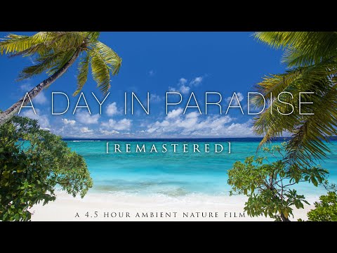 "A Day In Paradise" (No Music) 4.5 Hour Pure Nature Relaxation Film - Fiji HD [Remastered 4K]