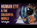 Human Eye And Colourful World Full Chapter Animation Class 10 Science Chapter 11 CBSE