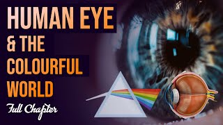Human Eye and Colourful World  Full chapter  (Animation) | Class 10 Science Chapter 11 | CBSE