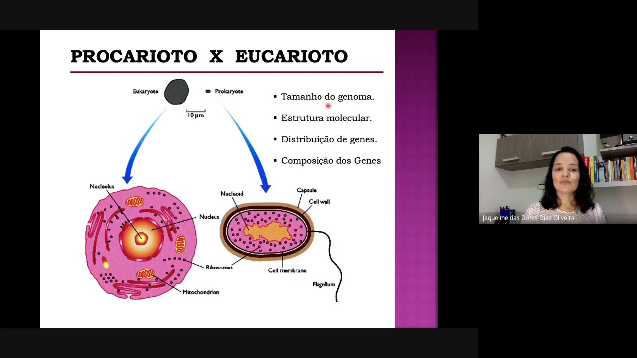 Videoaula de Organização Genica e Genômica de Procariontes e Eucariontes