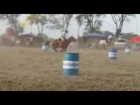 Juegos de rienda Nato luna vs basilio sosa Carreron