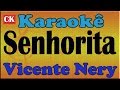 Vicente Nery - Senhorita -  (Zé Geraldo) Karaokê