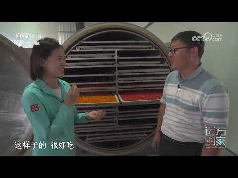 《Faraway Home》 20231020 Rio Amarelo (64) Huihushan Shuimei Ningxia Bei Gate | CCTV Chinês Internacional