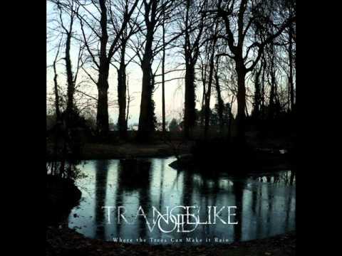 Trancelike Void - Where Trees Can Make It Rain Full Album