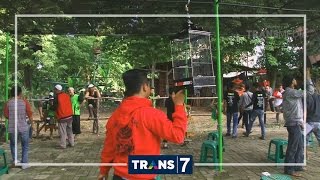 Download lagu DUNIA BINATANG - KELUARGA MASTER KICAU (7/11/16) 3-2 mp3