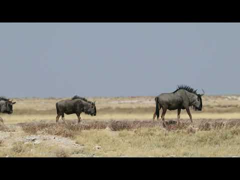 ER1136 Skies Of Namibia (Grand Experiences)