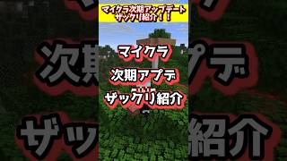 次回アプデのカオスキューブドをザックリ紹介 #マイクラ #アップデート  #マインクラフト