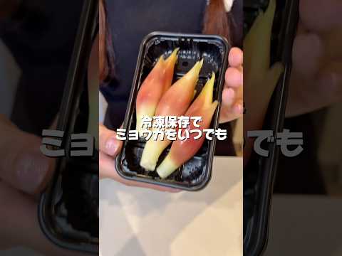 保存方法！ミョウガ安いときに買って冷凍！