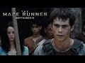 The Maze Runner | Hero [HD] | 20th Century FOX ...