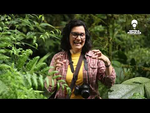 NEREYDA ESTRADA "HÉROES 5 ESTRELLAS DE ÓPTICA POPULAR" - SÉPTIMA EDICIÓN