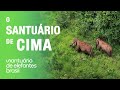 Vista Aérea do Santuário de Elefantes Brasil