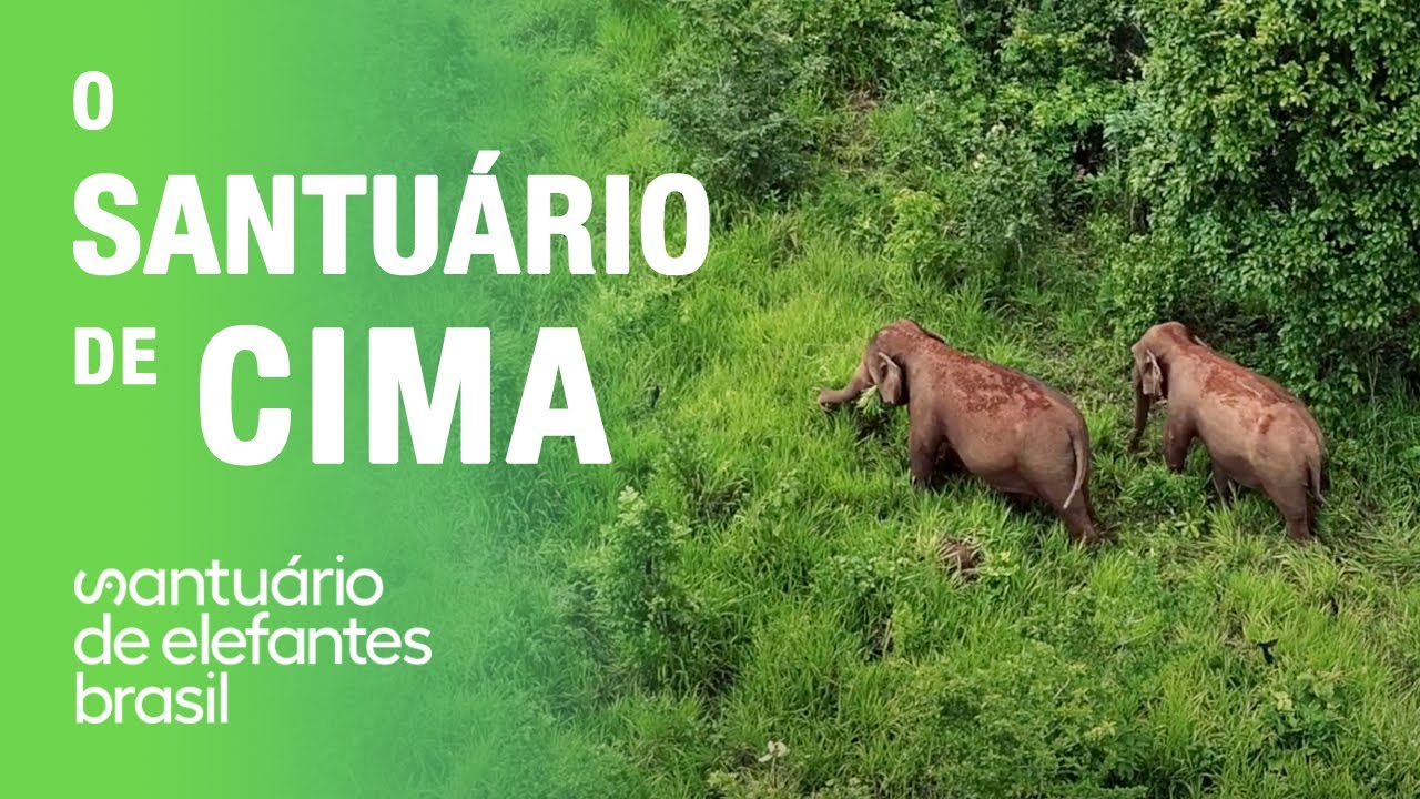 Vista Aérea do Santuário de Elefantes Brasil