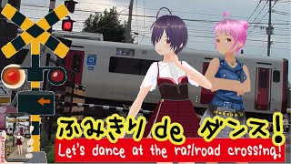 踏切動画 【踏切ダンス】イカ釣り漁船ライトの821系と２人チームダンス《縦動画＃9 》[Let's dance to the rhythm of the railroad crossing]