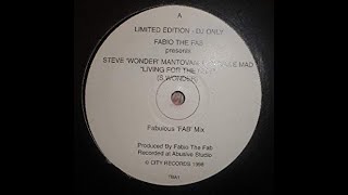 Fabio The Fab Pres.Steve "Wonder" Mantovani-Living For The City (Fabulous Mix)