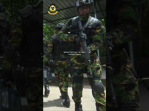 Special task force - Sri Lanka #shorts #stf #specialtaskforce