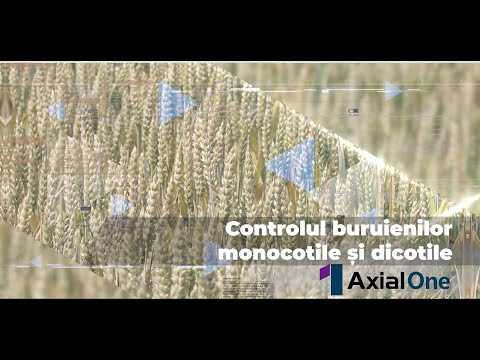 Axial One® și Karate Zeon®