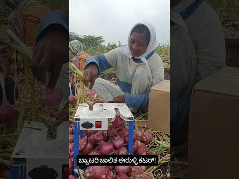 ಬ್ಯಾಟರಿ ಚಾಲಿತ ಈರುಳ್ಳಿ ಕಟರ್! #onion #cutter #trending #harvest #share #agriculture #farming #kannada
