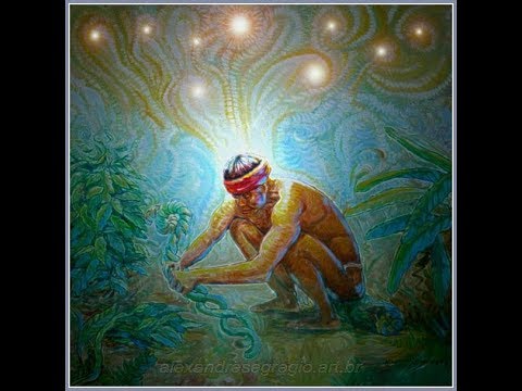 Terantey - Ninawá Pai da mata