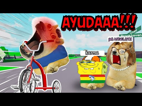 PRIMO CON DERECHO EXIGE MI TRICICLO Y EL KARMA HACE JUST1CIA - CHEEMS