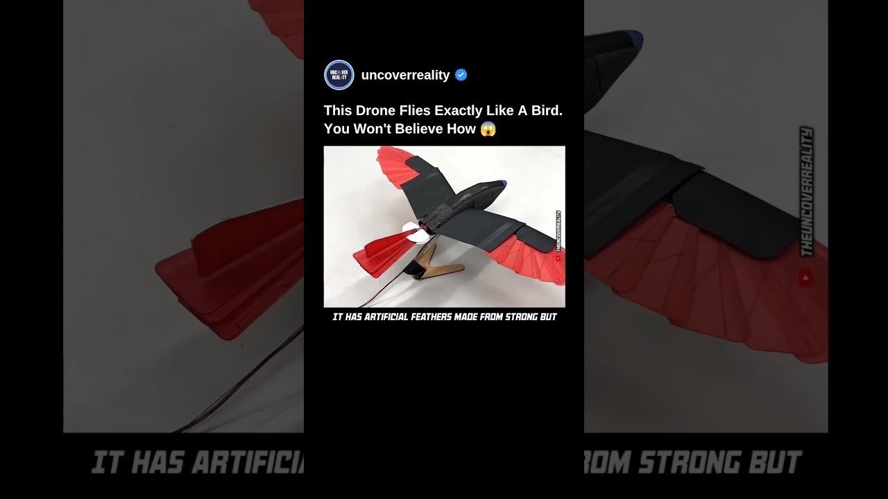 This Robot Drone Flies Exactly Like A Bird. You Won't Believe How #drone #robot #shorts #engineering