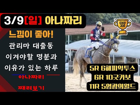 3/9 일요-윤택-경마 아나짜리 유지경성 (有志竟成)