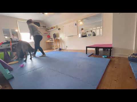 2021 0721 Dizzy training