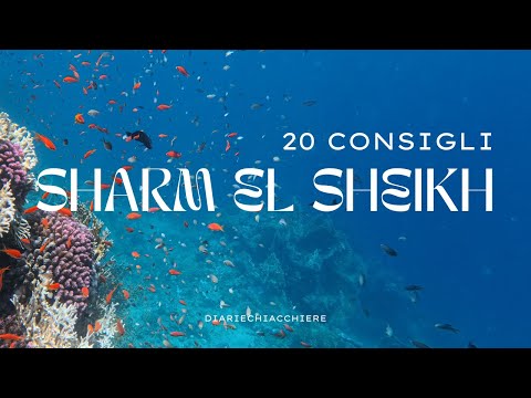I 20 CONSIGLI da sapere prima di partire per SHARM EL SHEIKH