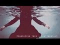 Porcupine Tree - Sentimental + Lyrics