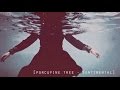 Porcupine Tree - Sentimental + Lyrics 