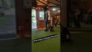 27 Pastor alemán entrenando posiciones