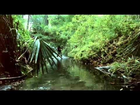 MIAMI CONNECTION [Clip] - "Berserker Rage"