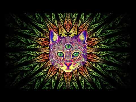 Mister Chung Remix 8D Song sajanka feat yarden (8D Mix Box)