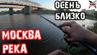 Ловля щуки и окуня в москва-реке