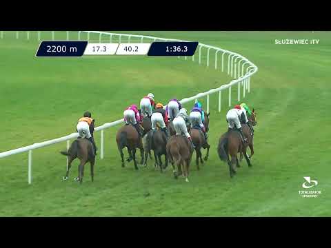 12.11.2022 - (Dzień 45; Gonitwa 6)