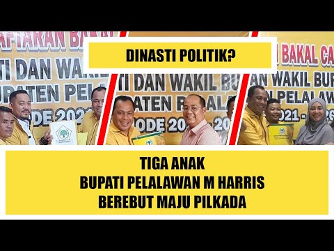 Tiga Anaknya Berebut Maju Pilkada Pelalawan, Ini Komentar Bupati Harris