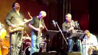 IL DOMATORE DI PULCI - Bollani Carioca - Lari (PI)