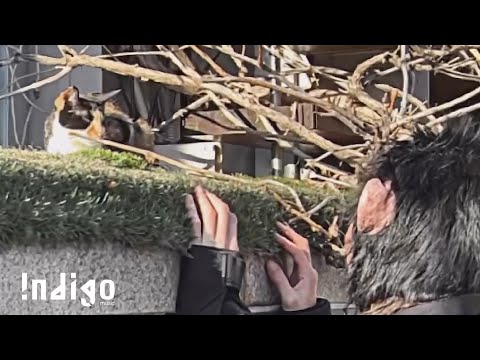 [Official Video] ron - 정