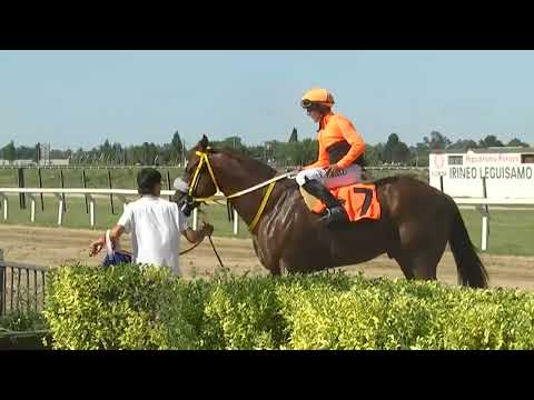 CARRERAS SINT FLORIDA - 221124 c04 1° EOLO BLADE