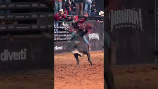 VÍTOR MANOEL DIAS vs ATRATIVO (CIA. CALIFÓRNIA) - PBR JAGUARIÚNA TEAMS 2025