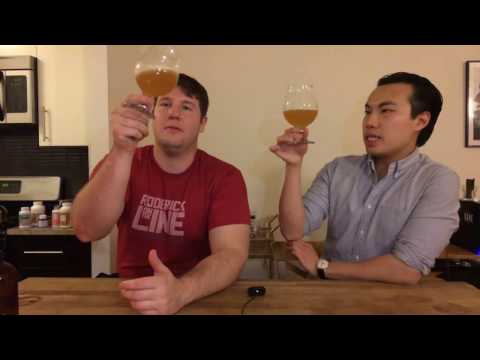 Other Half Citra/Equinox DIPA Review - Ep. #1008