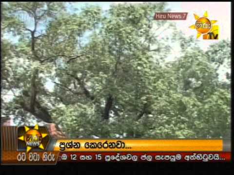 Hiru News 7.00 PM May 23, 2014 