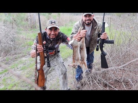 Rabbit Hunting and Cooking with a .22 Rifle