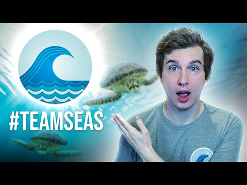 #TeamSeas - The Epitome of Hope