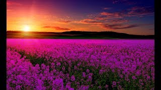 Relaxing Music For Emotional Healing &amp; Detachment from Negativity | Boost Happiness &amp; Inner Peace