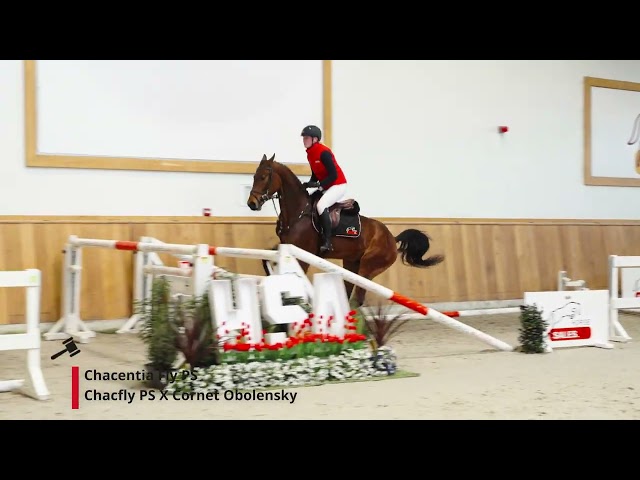 Chacentia Fly PS